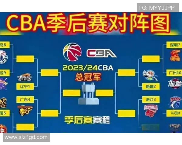 天津对阵辽宁的CBA比赛深度分析与战术解析