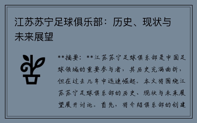 江苏苏宁足球俱乐部：历史、现状与未来展望