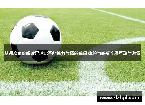 从观众角度解读足球比赛的魅力与精彩瞬间 体验与感受全程互动与激情