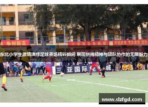 东北小学生激情演绎足球赛场精彩瞬间 展现拼搏精神与团队协作的无限魅力